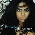 Amel Larrieux - Bravebird album