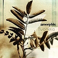 Amorphis - Tuonela альбом