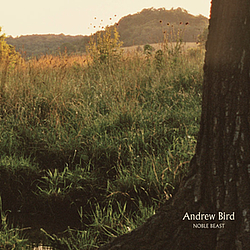 Andrew Bird - Noble Beast album