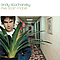 Andy Stochansky - Five Star Motel album