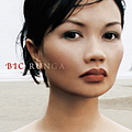 Bic Runga - Beautiful Collision album