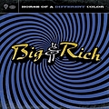 Big &amp; Rich - Horse of a Different Color album