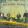 Big Daddy Weave - Fields Of Grace album