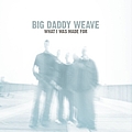 Big Daddy Weave - What I Was Made For album