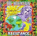 Big Mountain - Resistance album