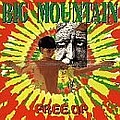 Big Mountain - Free Up album