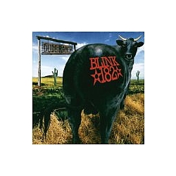 Blink 182 - Dude Ranch album