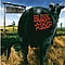 Blink 182 - Dude Ranch album