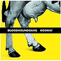 Bloodhound Gang - Hooray album