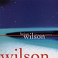 Brian Wilson - Imagination album