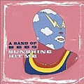 A Band Of Bees - Sunshine Hit Me album