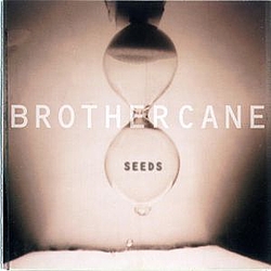 Brother Cane - Seeds album