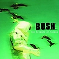 Bush - The Science Of Things альбом