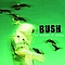 Bush - The Science Of Things album
