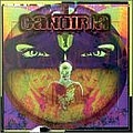 Candiria - The Process Of Self-Development альбом