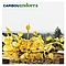 Caribou - Andorra album