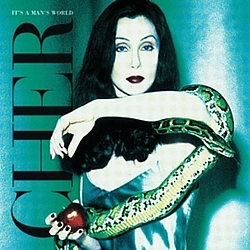Cher - It&#039;s A Man&#039;s World album