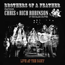 Chris &amp; Rich Robinson - Brothers Of A Feather album