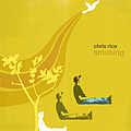 Chris Rice - Amusing альбом