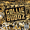 Collie Buddz - Collie Buddz album