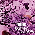 Coral - Nightfreak And The Sons Of Becker album