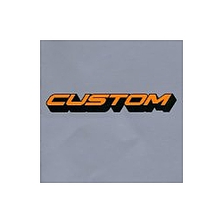 Custom - Fast album