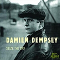 Damien Dempsey - Seize The Day album