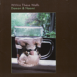 Damon &amp; Naomi - Within These Walls альбом