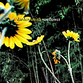 Darden Smith - Sunflower album