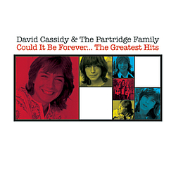 David Cassidy - Could It Be Forever - The Greatest Hits album