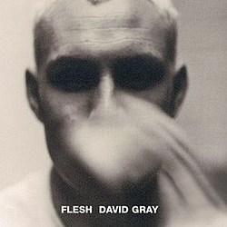 David Gray - Flesh album