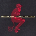 David Lee Roth - A Little Ain&#039;t Enough album