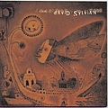 David Sylvian - Dead Bees On A Cake album