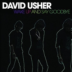 David Usher - Wake Up And Say Goodbye альбом