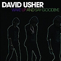 David Usher - Wake Up And Say Goodbye album