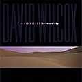 David Wilcox - The Natural Edge album