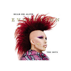 Dead Or Alive - Evolution - The Hits album