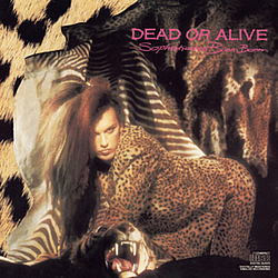 Dead Or Alive - Sophisticated Boom Boom album