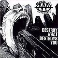 Against All Authority - Destroy What Destroys You album