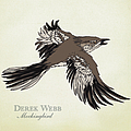 Derek Webb - Mockingbird альбом