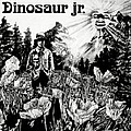 Dinosaur Jr. - Dinosaur album