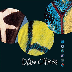 Dixie Chicks - Fly album