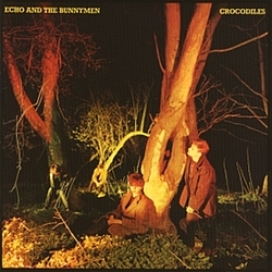 Echo &amp; The Bunnymen - Crocodiles album