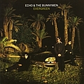 Echo &amp; The Bunnymen - Evergreen альбом