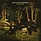 Echo &amp; The Bunnymen - Evergreen album