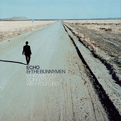 Echo &amp; The Bunnymen - What Are You Going To Do With Your Life? альбом