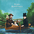 Echo &amp; The Bunnymen - Flowers album