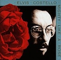 Elvis Costello - Mighty Like A Rose album