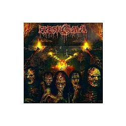 Fleshcrawl - As Blood Rains From The Sky ... We Walk The Path Of Endless Fire album