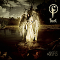 Fuel - Angels And Devils album